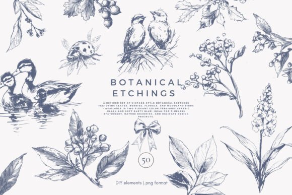 Download Botanical Clipart Vintage Illustration - Vintage Collection